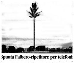 Fotografia tratta da "Il Tempo". Antenna di telefonia travestita da albero